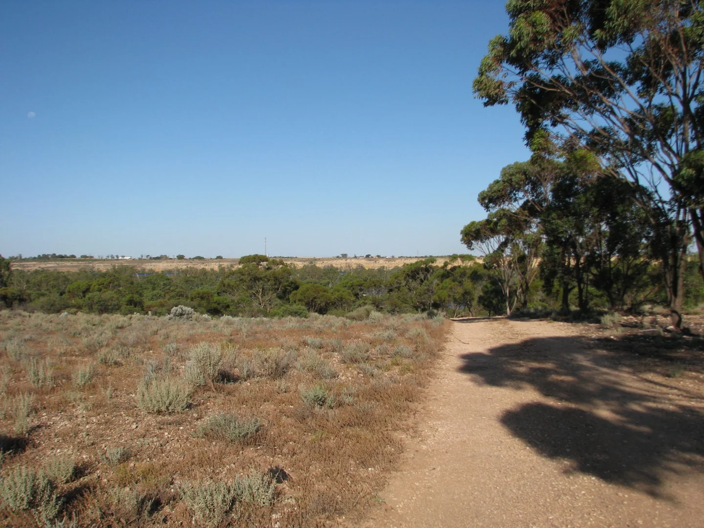 Additional image 8 of lot 1000 Merivale Street, Blanchetown SA 5357