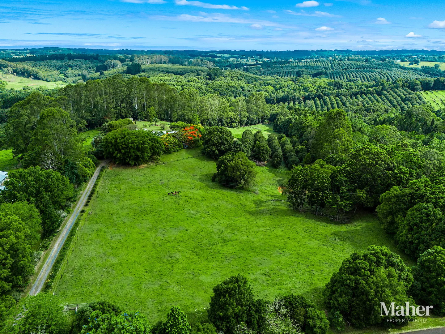 Additional image 34 of 141 Pearson Road, Eltham NSW 2480