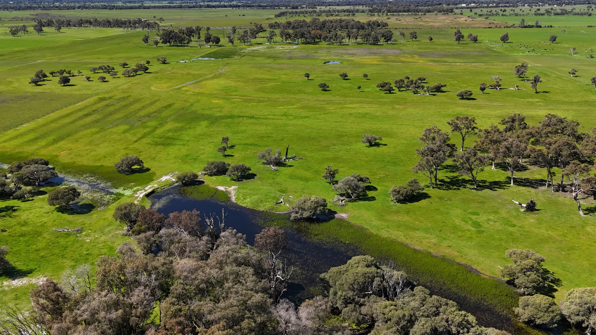 Additional image 9 of 39 Gibbs Road, Uduc WA 6220