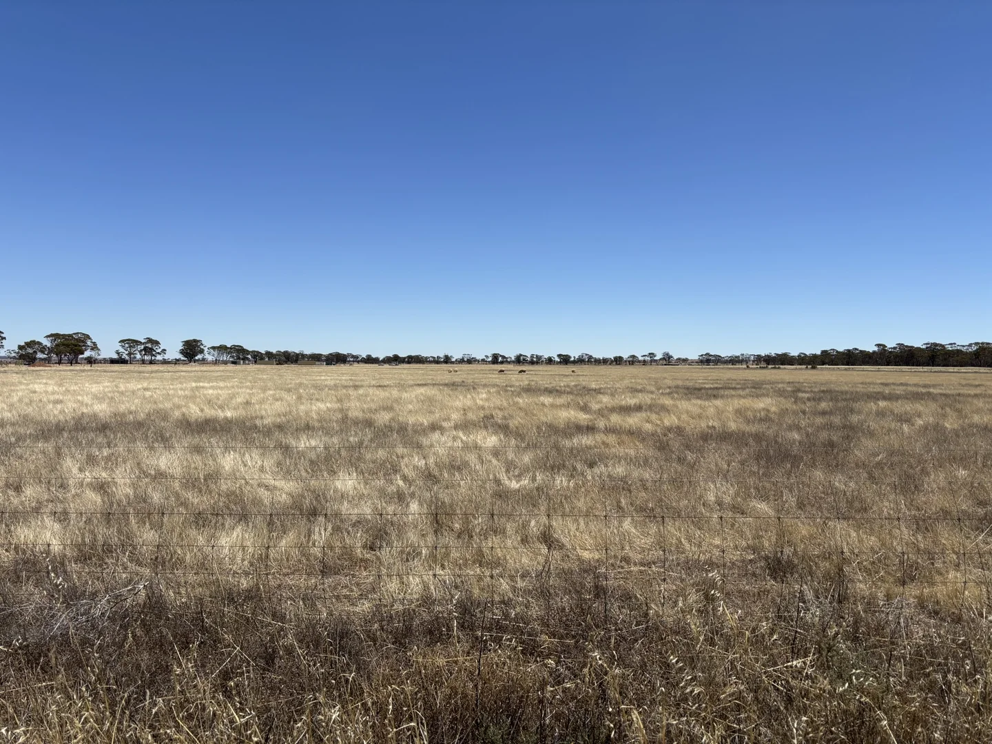 Additional image 5 of Lot 19 Great Eastern Highway, Nangeenan WA 6414