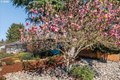 Additional image 30 of 7905 NE 125th Ave, Vancouver, WA, 98682