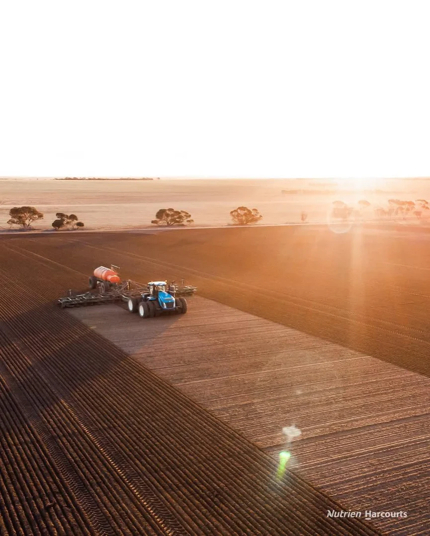 Additional image 26 of . Waitavalo Farms, Narembeen WA 6369