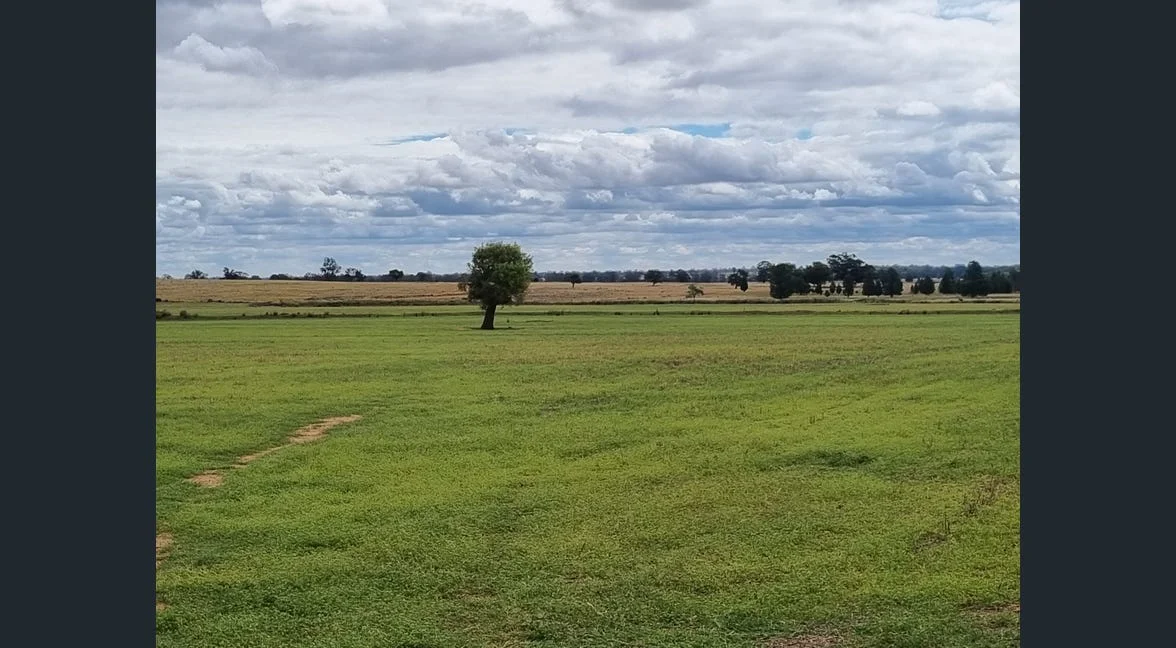 Additional image 7 of Tooraweenah NSW 2817