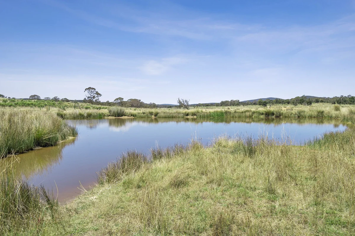 Additional image 30 of 149 Lakeview Road, Tarago NSW 2580