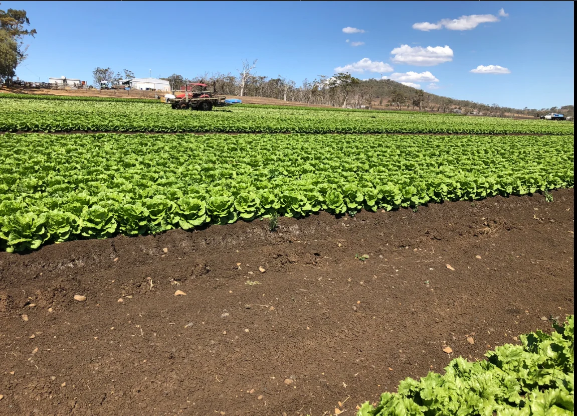 Additional image 14 of "Westview" 189 Toowoomba-Karara Road, Finnie QLD 4350