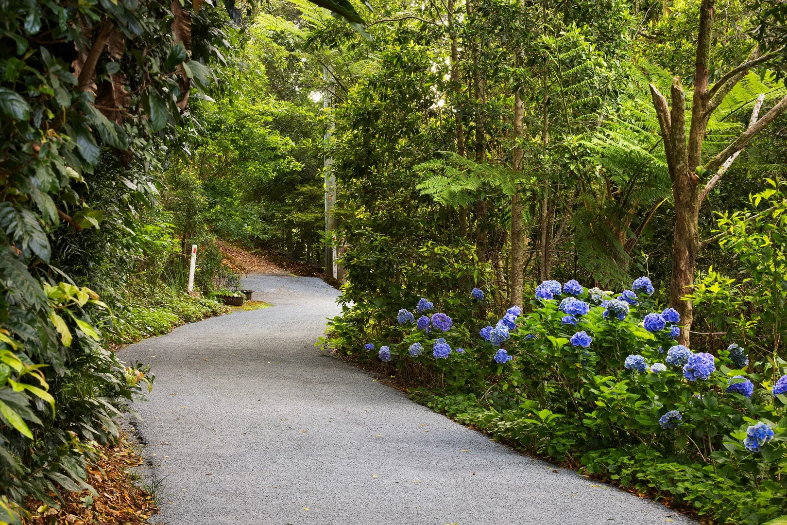 Additional image 16 of 162 Repeater Station Road, Springbrook QLD 4213