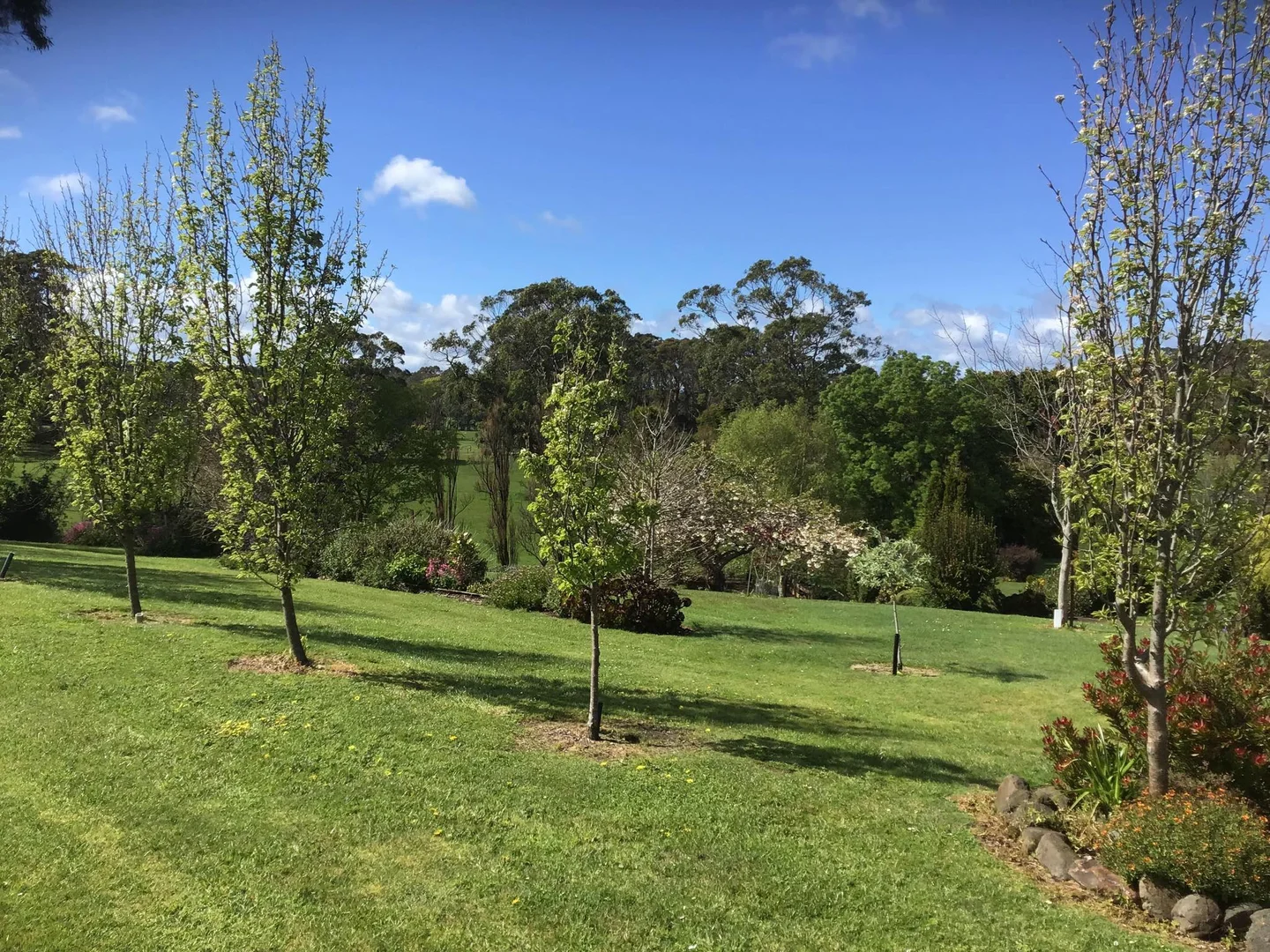 Additional image 38 of 99 King Street, Smithton TAS 7330