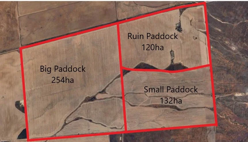 Additional image 9 of Redgum Road, Willowie SA 5431