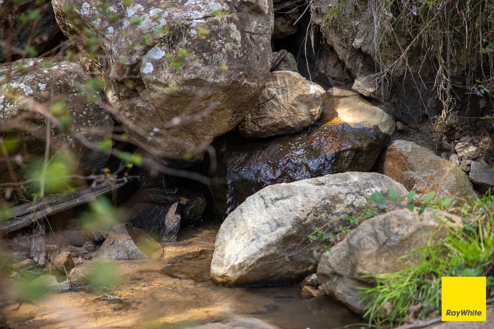 Additional image 16 of 8284 Armidale Road, Dorrigo NSW 2453