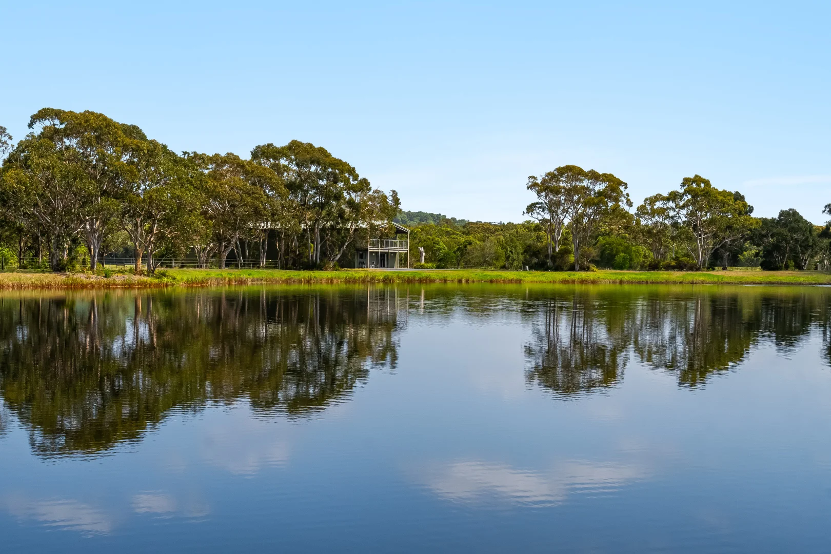 Additional image 30 of 91 Newrybar Swamp Road, Kinvara NSW 2478