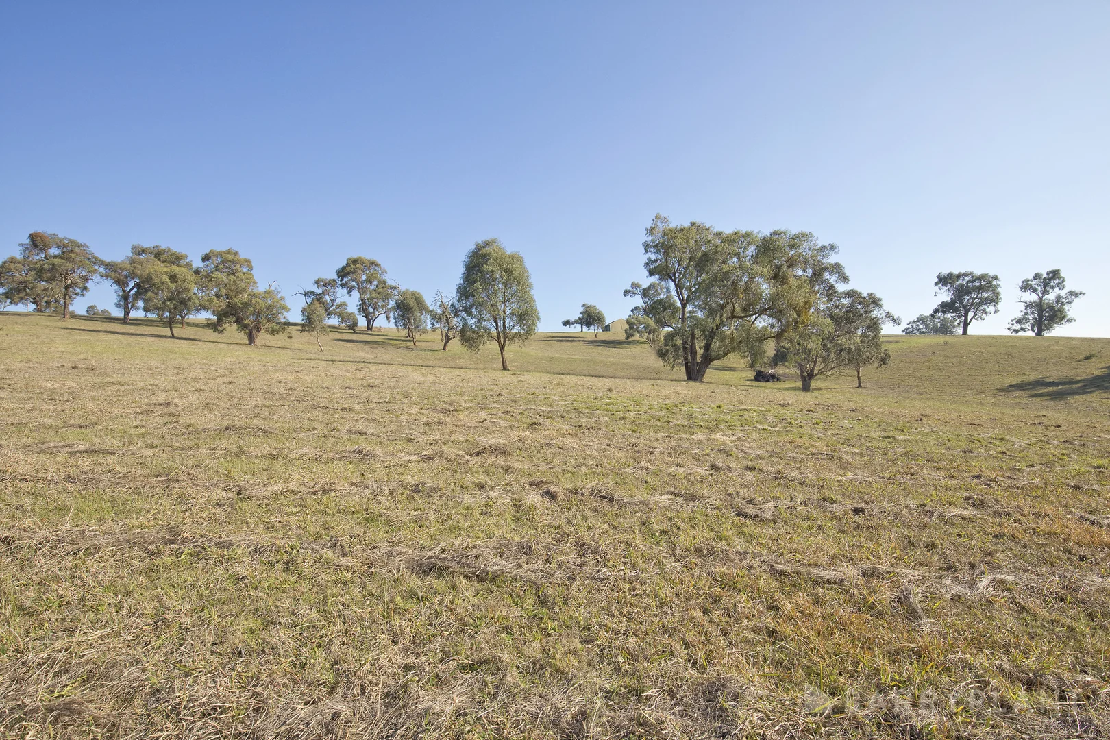 Additional image 22 of 450 Sheepstation Creek Road, Yellingbo VIC 3139