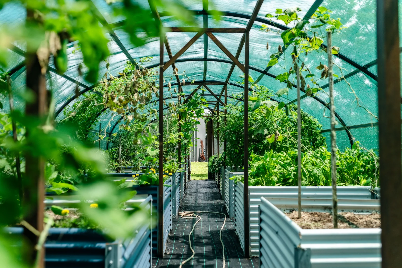 Additional image 17 of 399 Summervilles Road, Bellingen NSW 2454