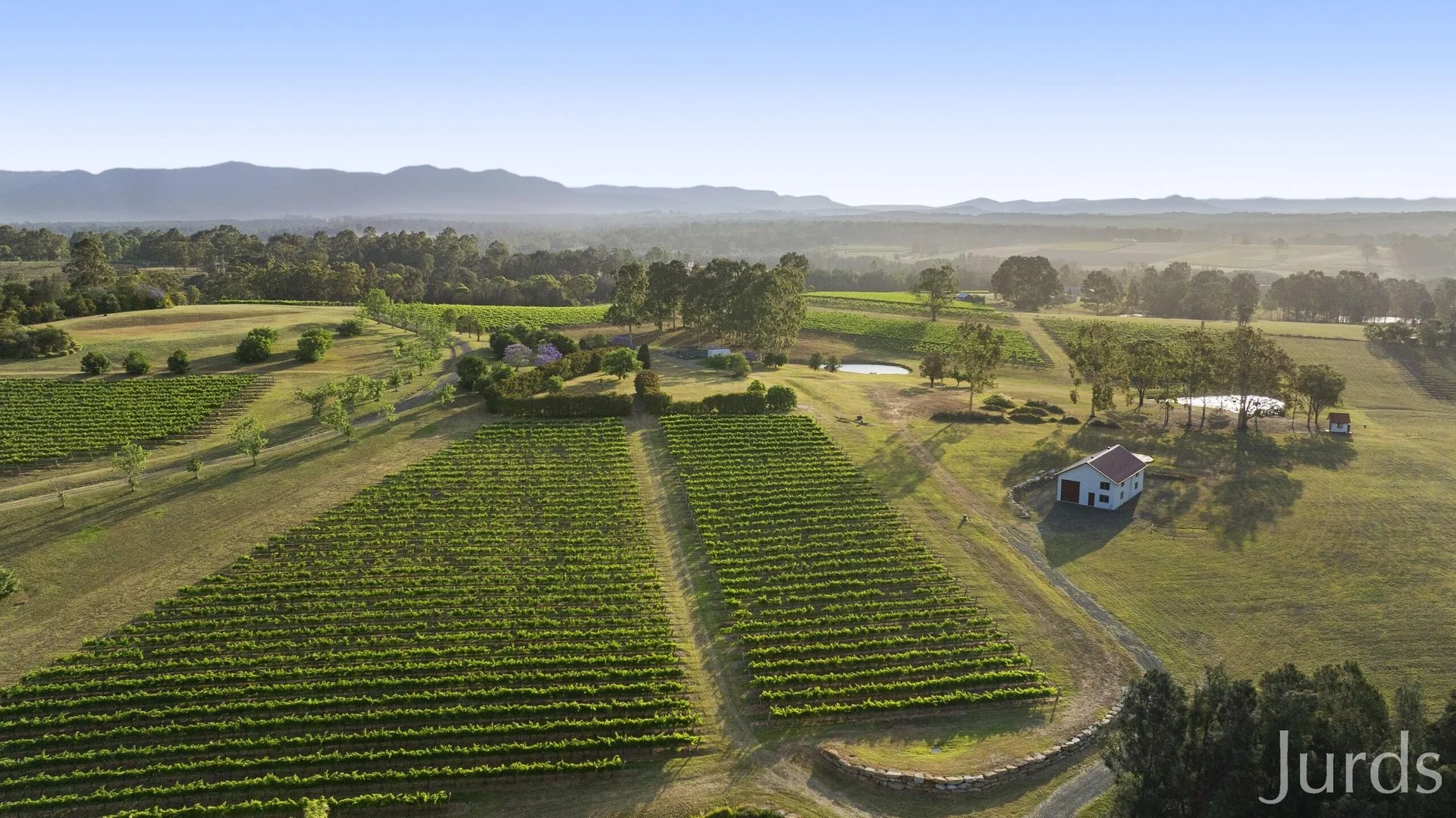 110 Old North Road, Pokolbin NSW 2320