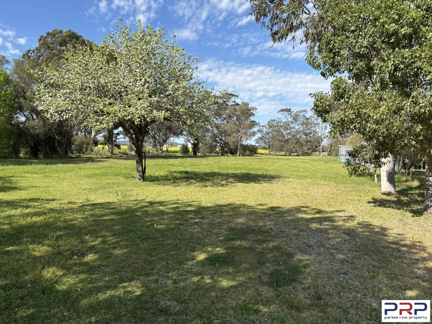 Additional image 14 of 1 Haynes Street, Cookamidgera NSW 2870