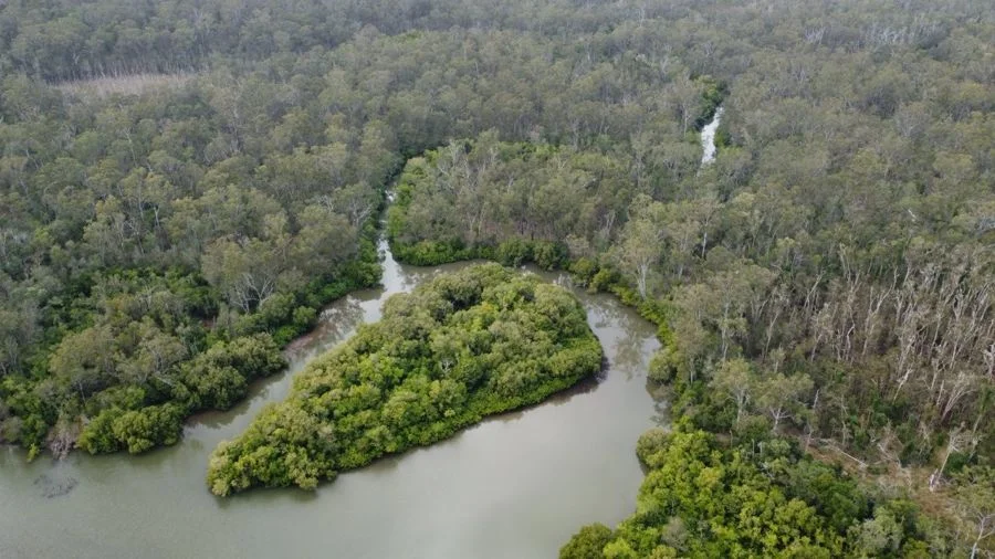 Additional image 6 of 310 MOLLENHAGENS ROAD, Winfield QLD 4670