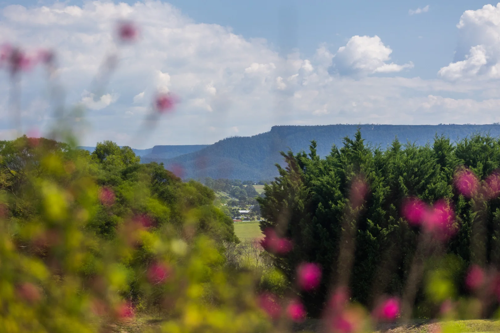 Additional image 14 of 67 Windward Way, Milton NSW 2538