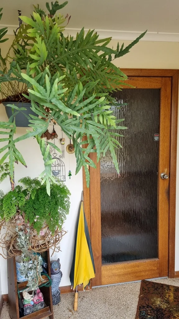 Additional image 16 of 5731 Frankford Road, Wesley Vale TAS 7307