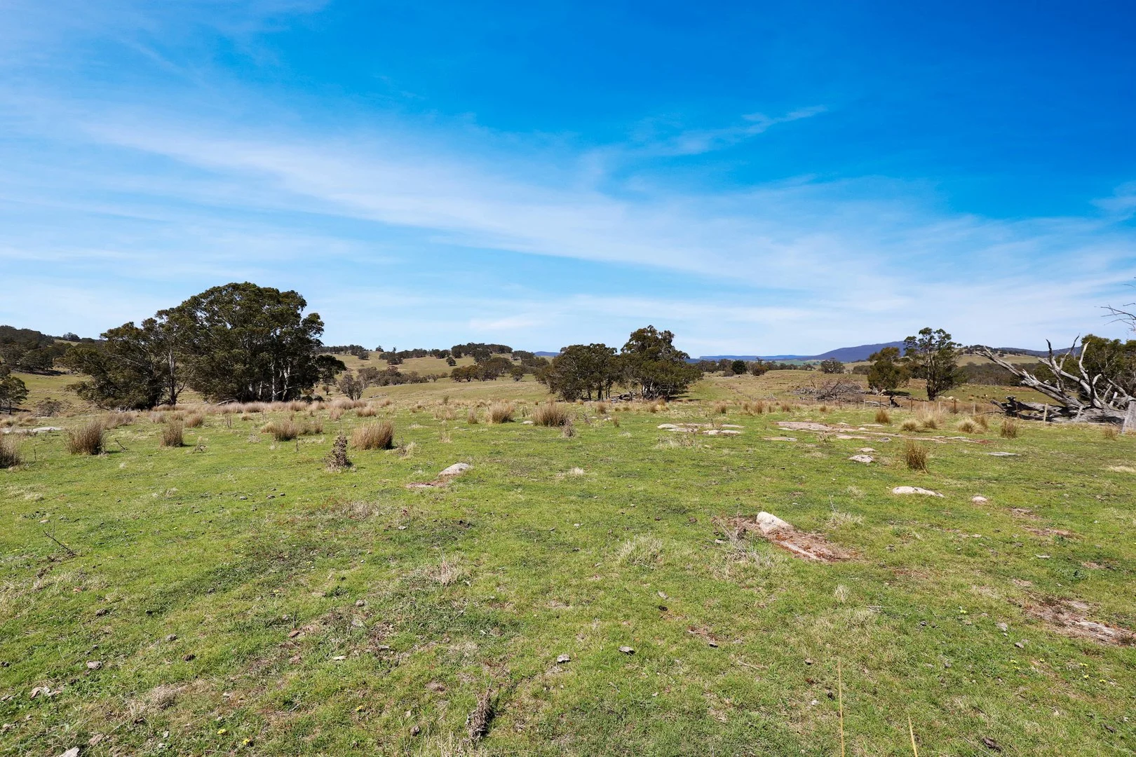 Additional image 24 of "Glenroy" Corrowong Road, Delegate NSW 2633