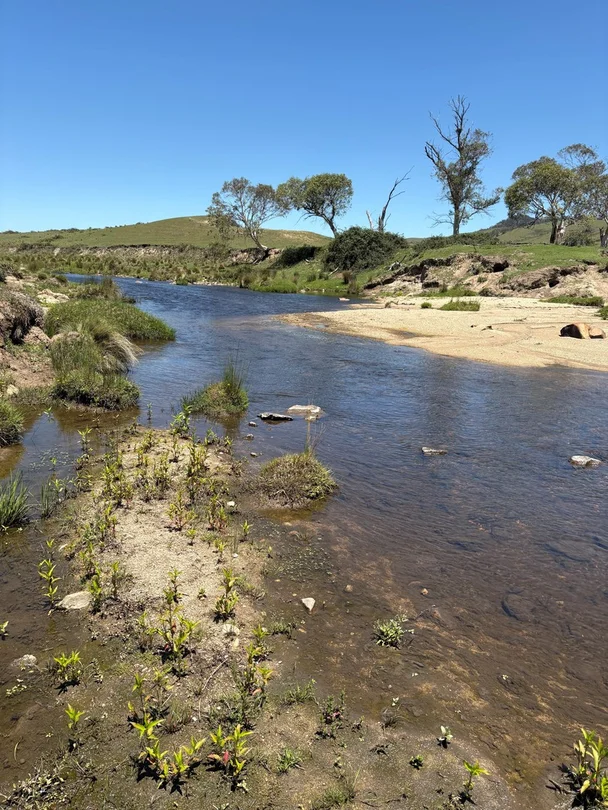 130 Jerrabatgulla Road via Braidwood, Braidwood NSW 2622