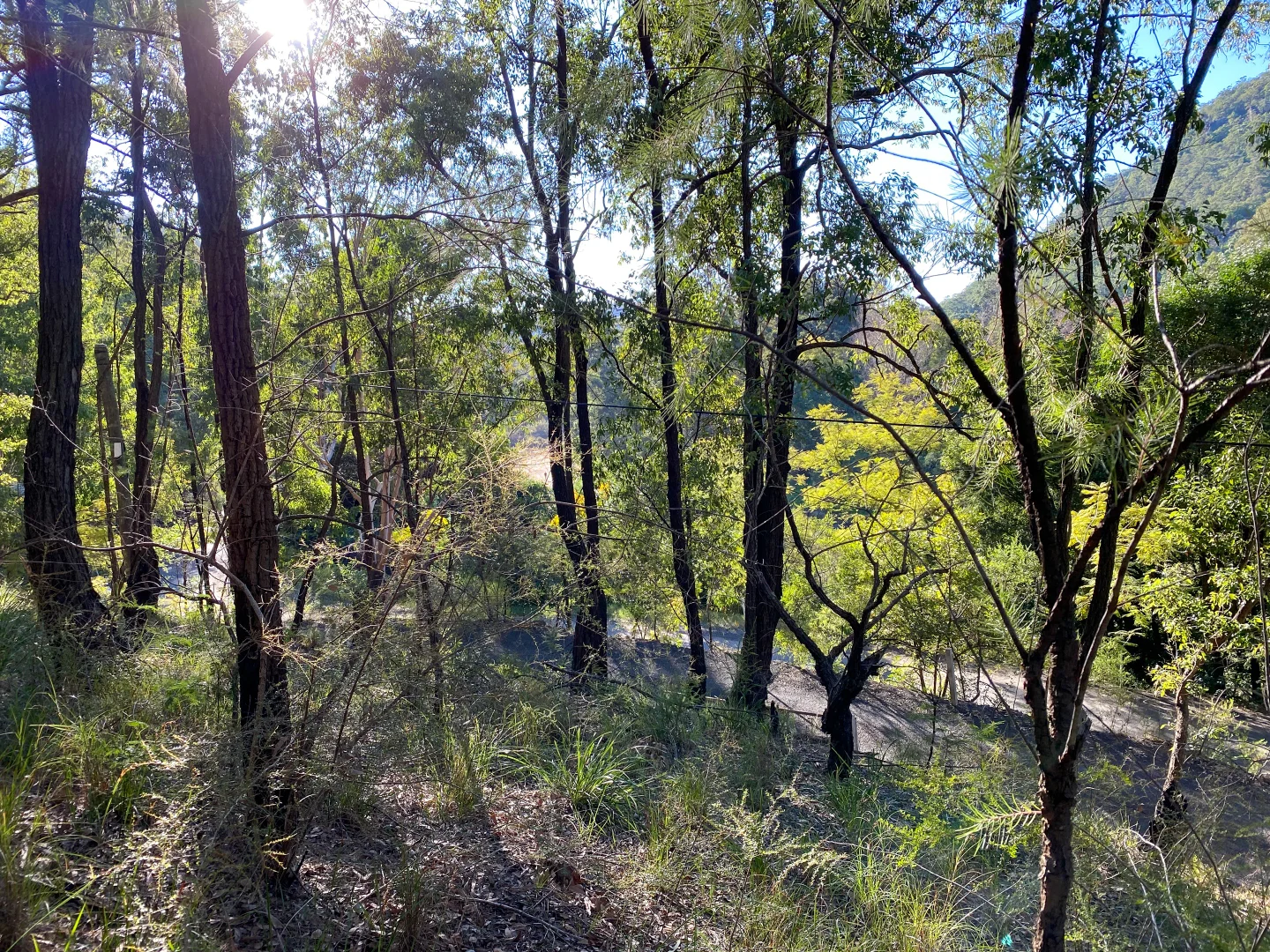 Additional image 7 of 1997 St Albans Rd, St Albans NSW 2775