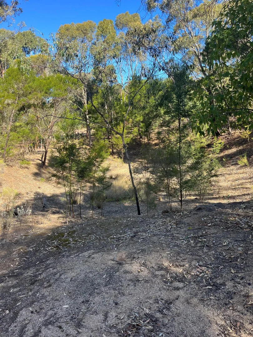 Additional image 4 of Steele Street, Maldon VIC 3463