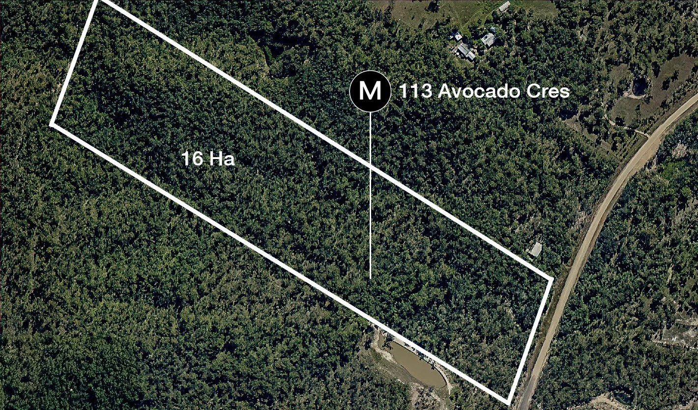 Additional image 10 of 113 Avocado Crescent, Captain Creek QLD 4677