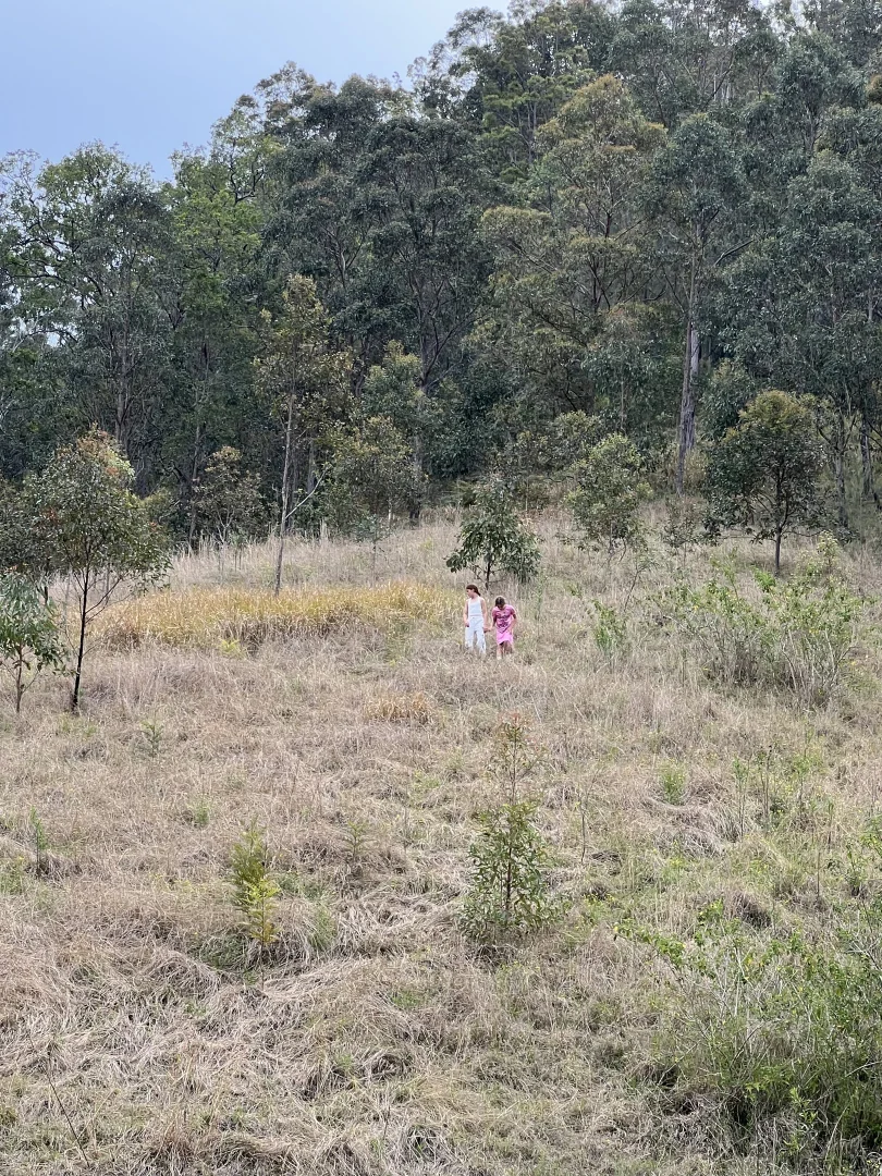 Additional image 20 of 179 Petroi Road, Lower Creek NSW 2440