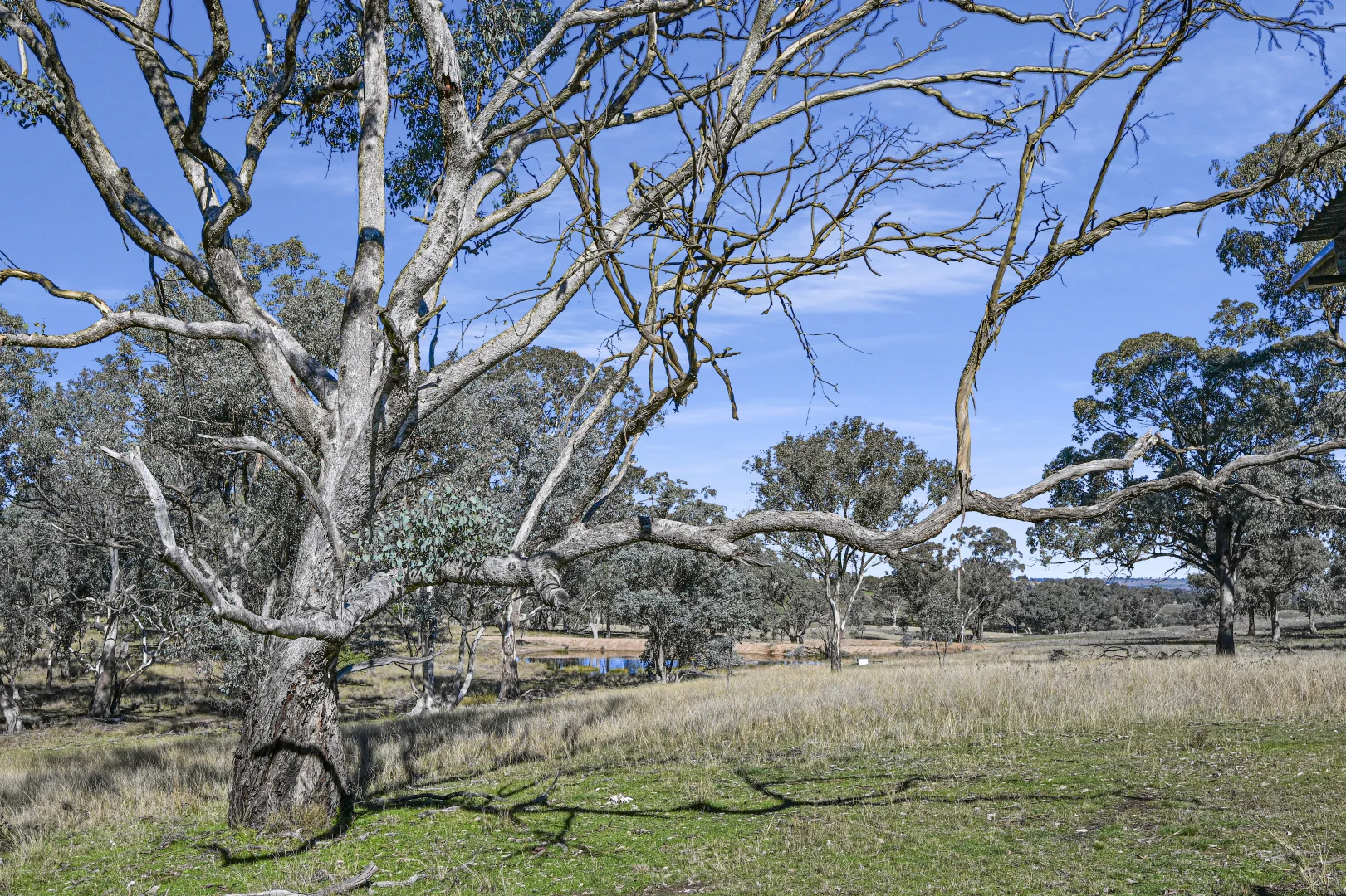Additional image 24 of Garra Grange Lot 1 Garra Road, Molong NSW 2866