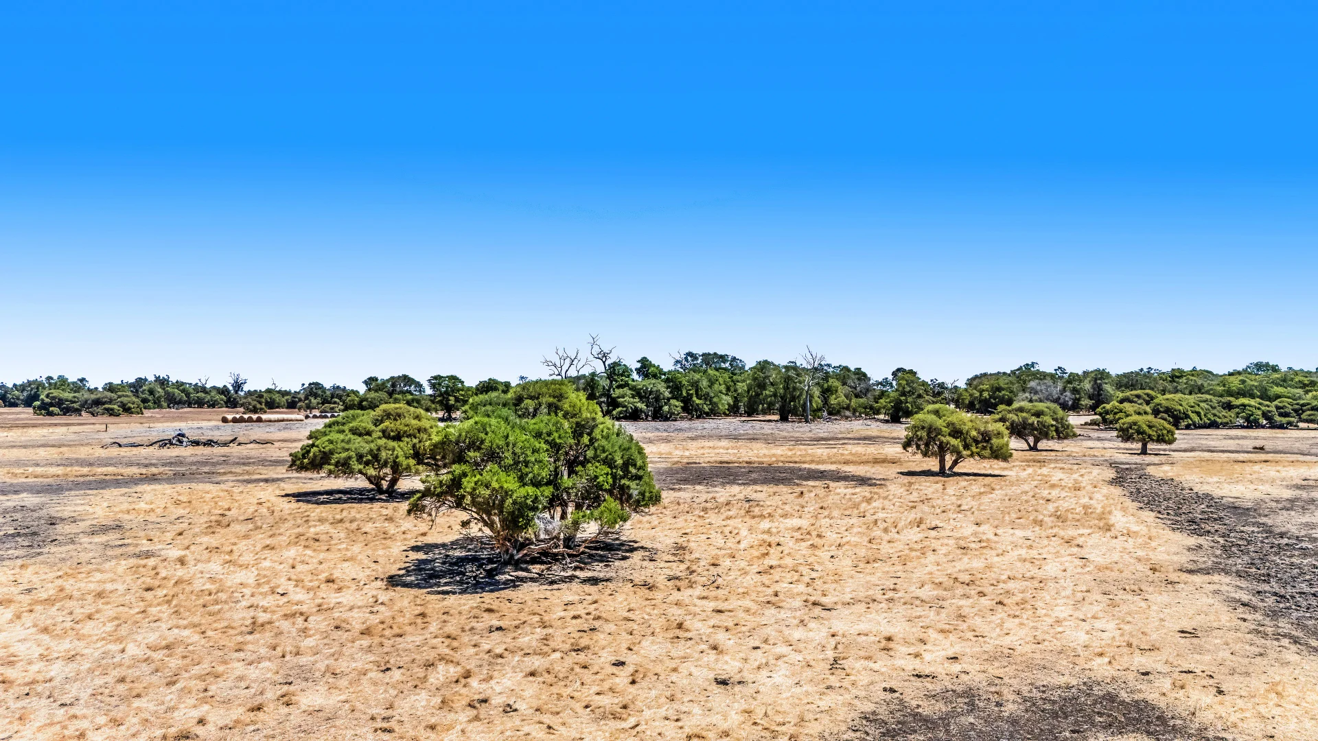 Additional image 30 of Lot 1 Jilley Road, Boyanup WA 6237