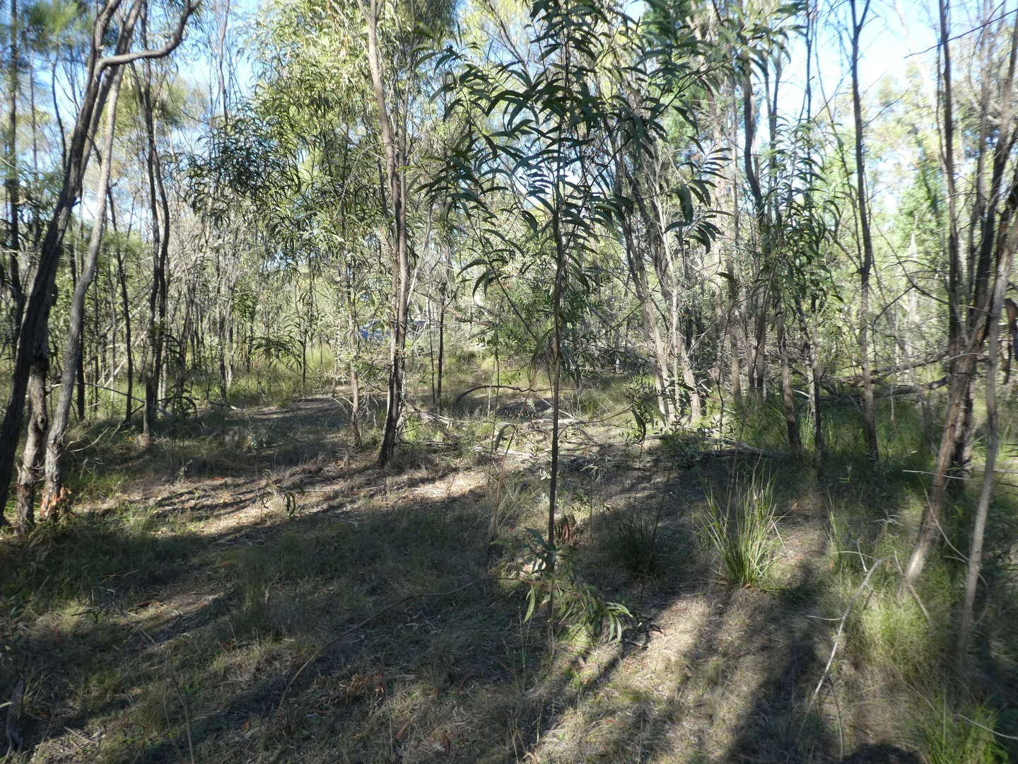 Additional image 5 of Lot 30 Dahlkes Road, Tara QLD 4421