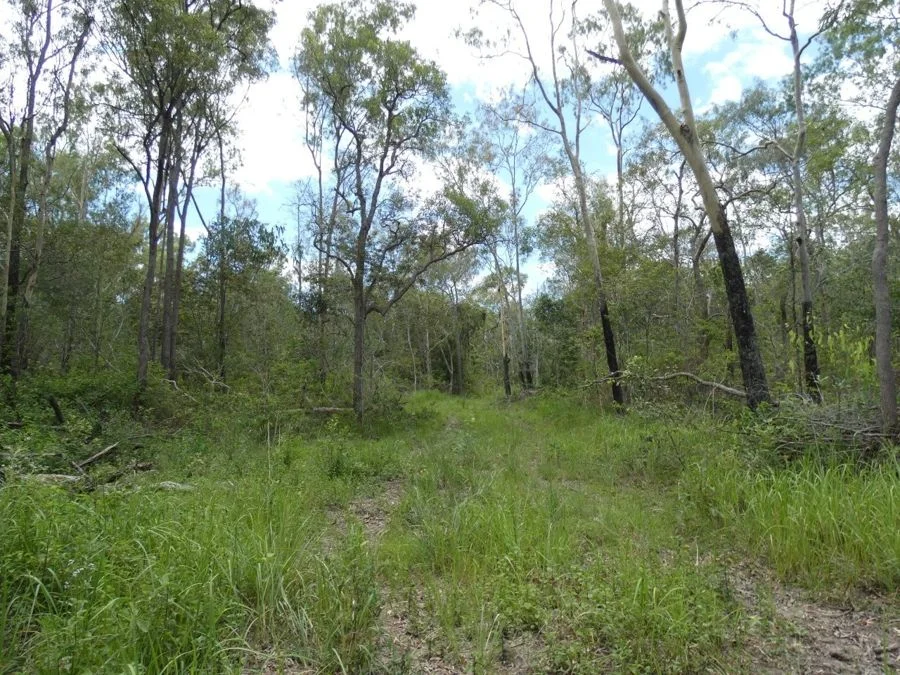 Additional image 17 of Lot 41 Moolyung Road, Waterloo QLD 4673
