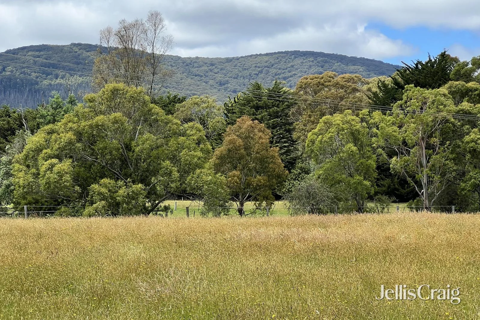 Additional image 2 of 211 Boundary Road, Woodend VIC 3442