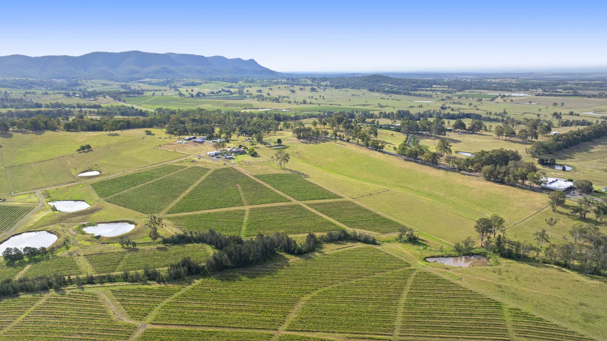 Additional image 22 of 353 Oakey Creek Road, Pokolbin NSW 2320