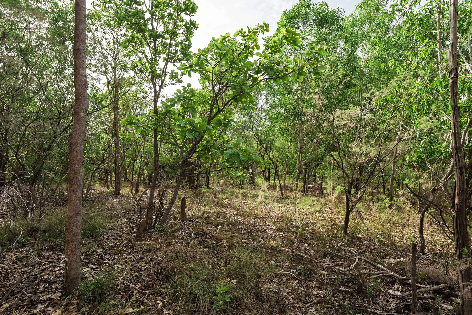 Additional image 3 of 56 Dowling Rd, Virginia NT 0834