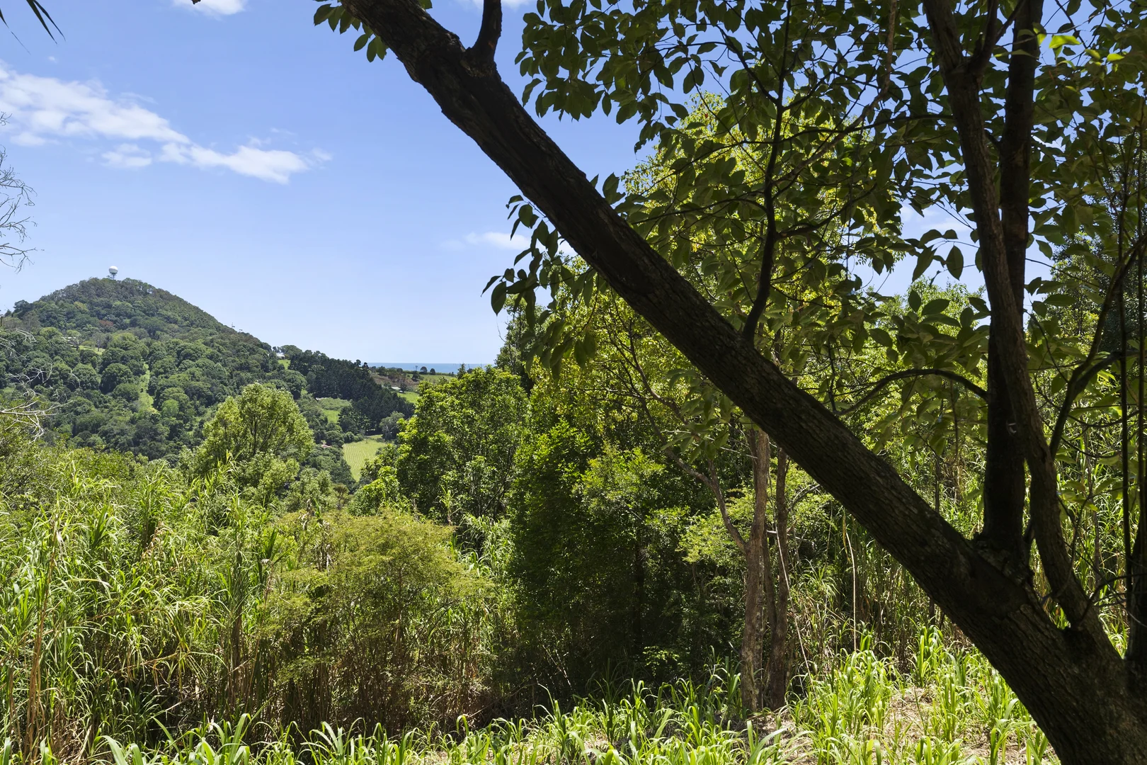 Additional image 10 of 487 Carool Road, Carool NSW 2486