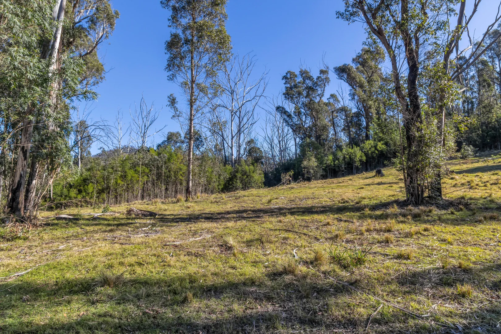 Additional image 5 of 15/752167&1/1089730 Illawambra Valley Road, Yowrie NSW 2550
