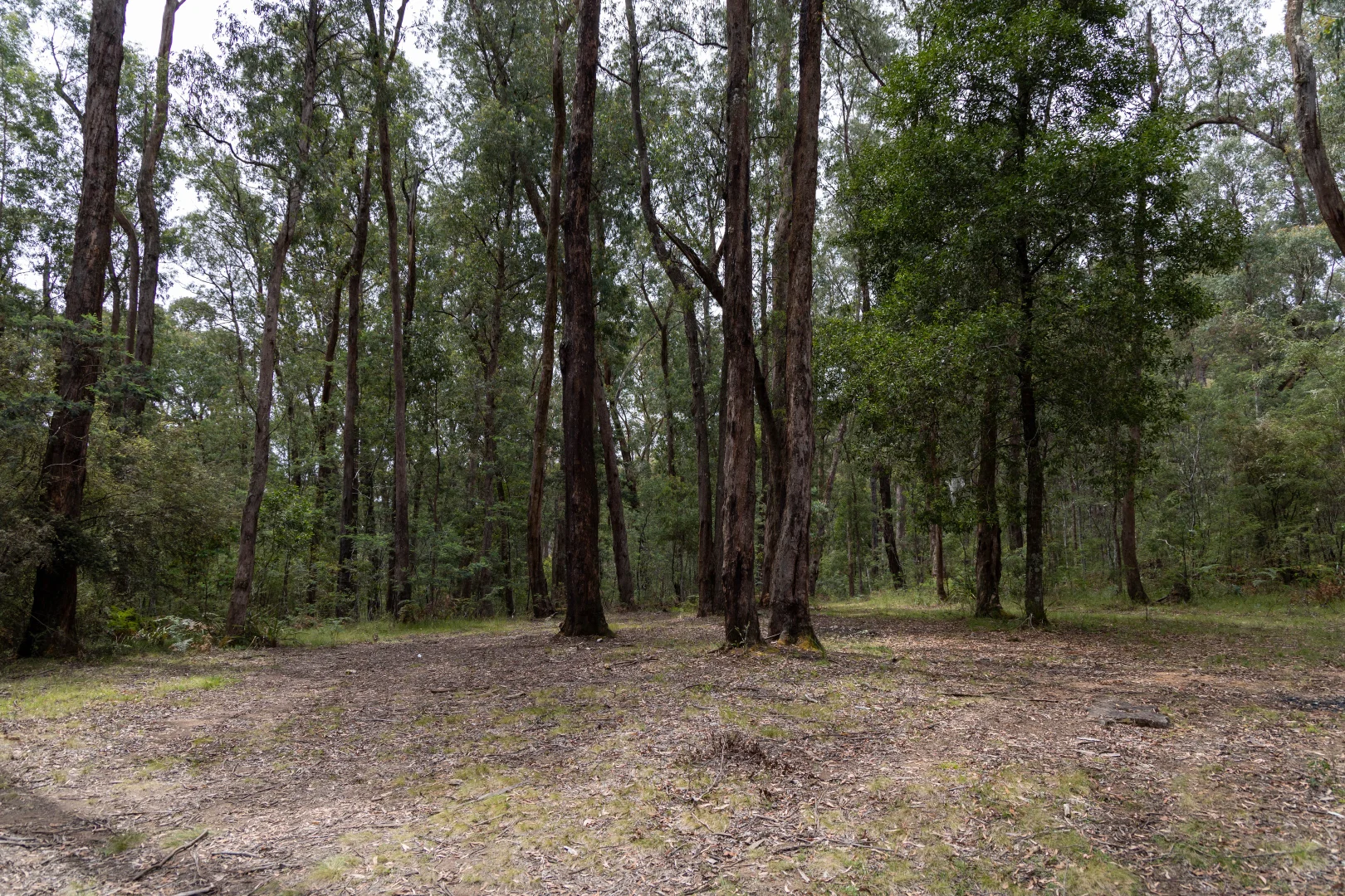 Additional image 8 of CA1 Mansfield-Woods Point Road, Knockwood VIC 3723