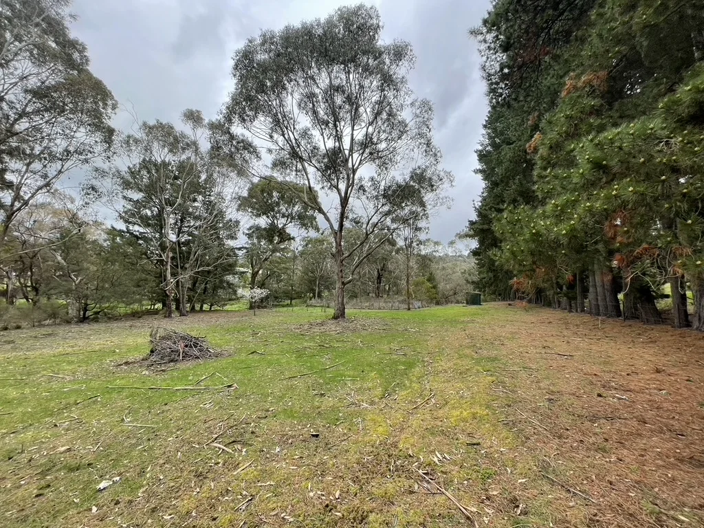 41 Eleventh Avenue, Eden Park VIC 3757