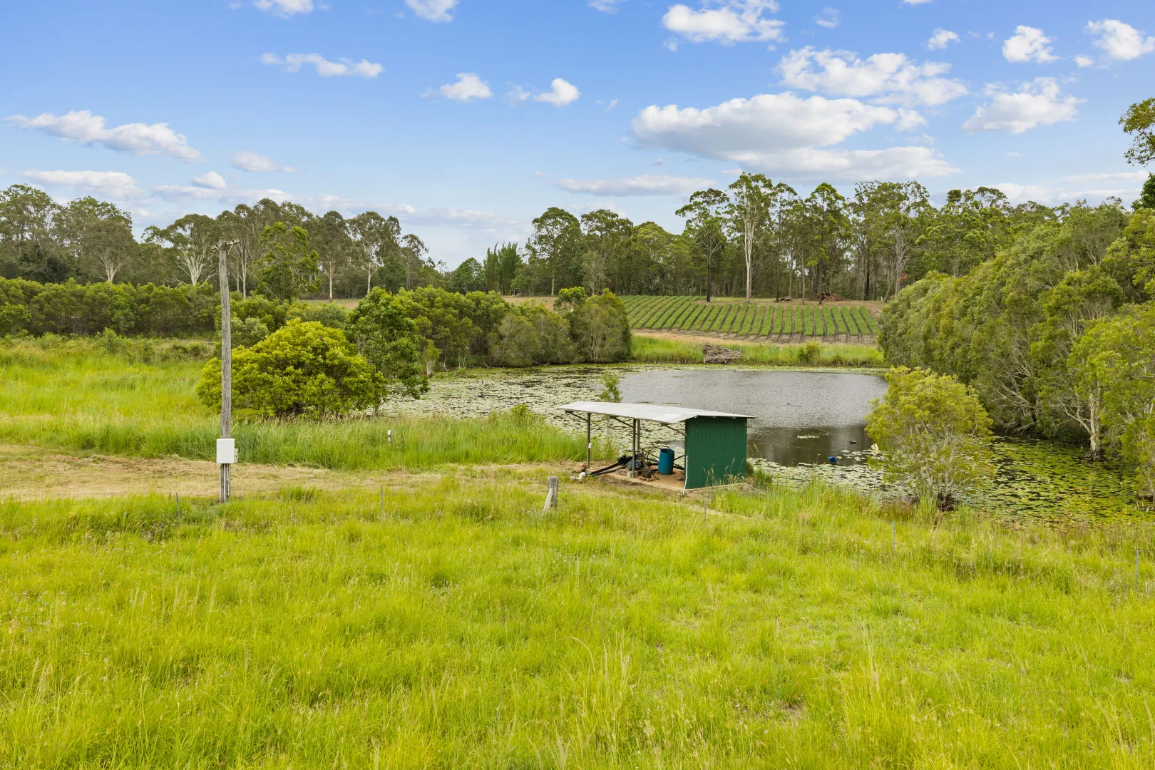 Additional image 30 of 1233 Anderleigh Road, Anderleigh QLD 4570