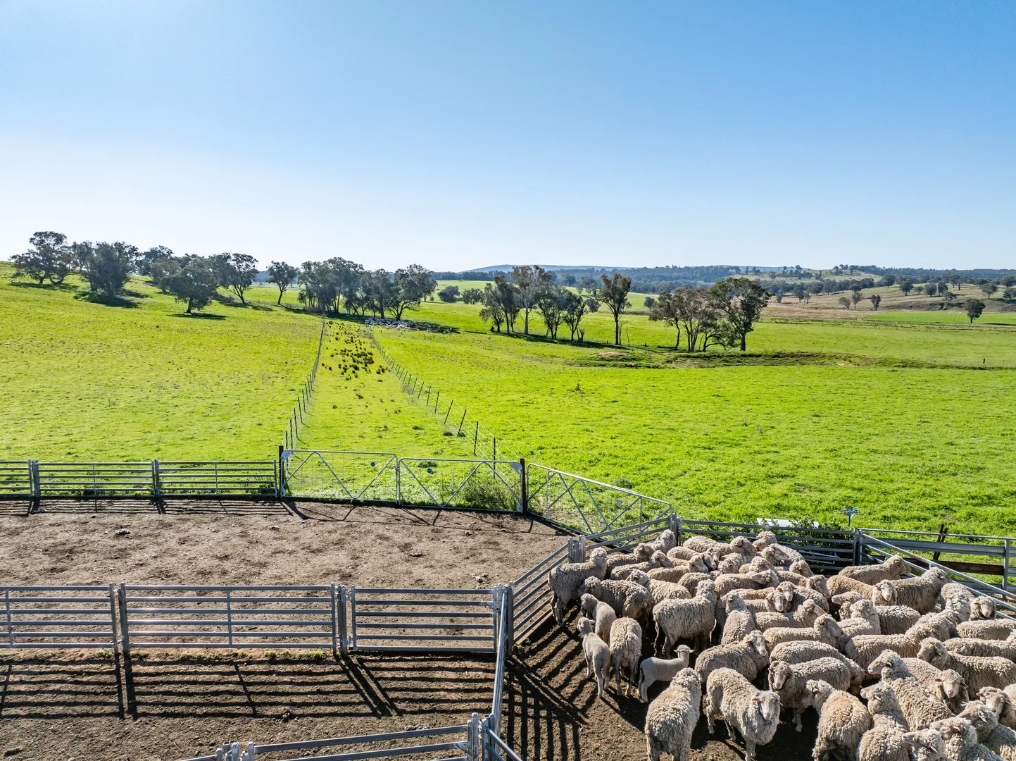 Additional image 19 of Bumbaldry Road, Greenethorpe NSW 2809