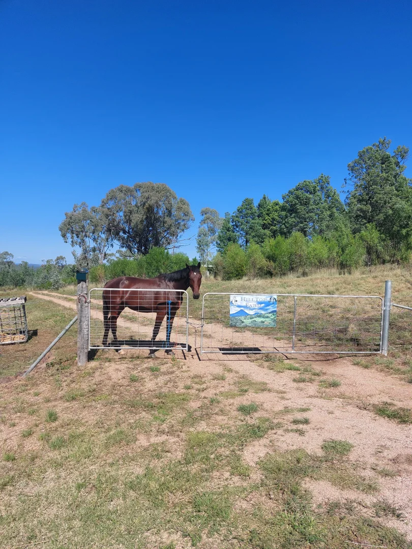 Additional image 2 of 12 Ironbark Drive, Warialda NSW 2402