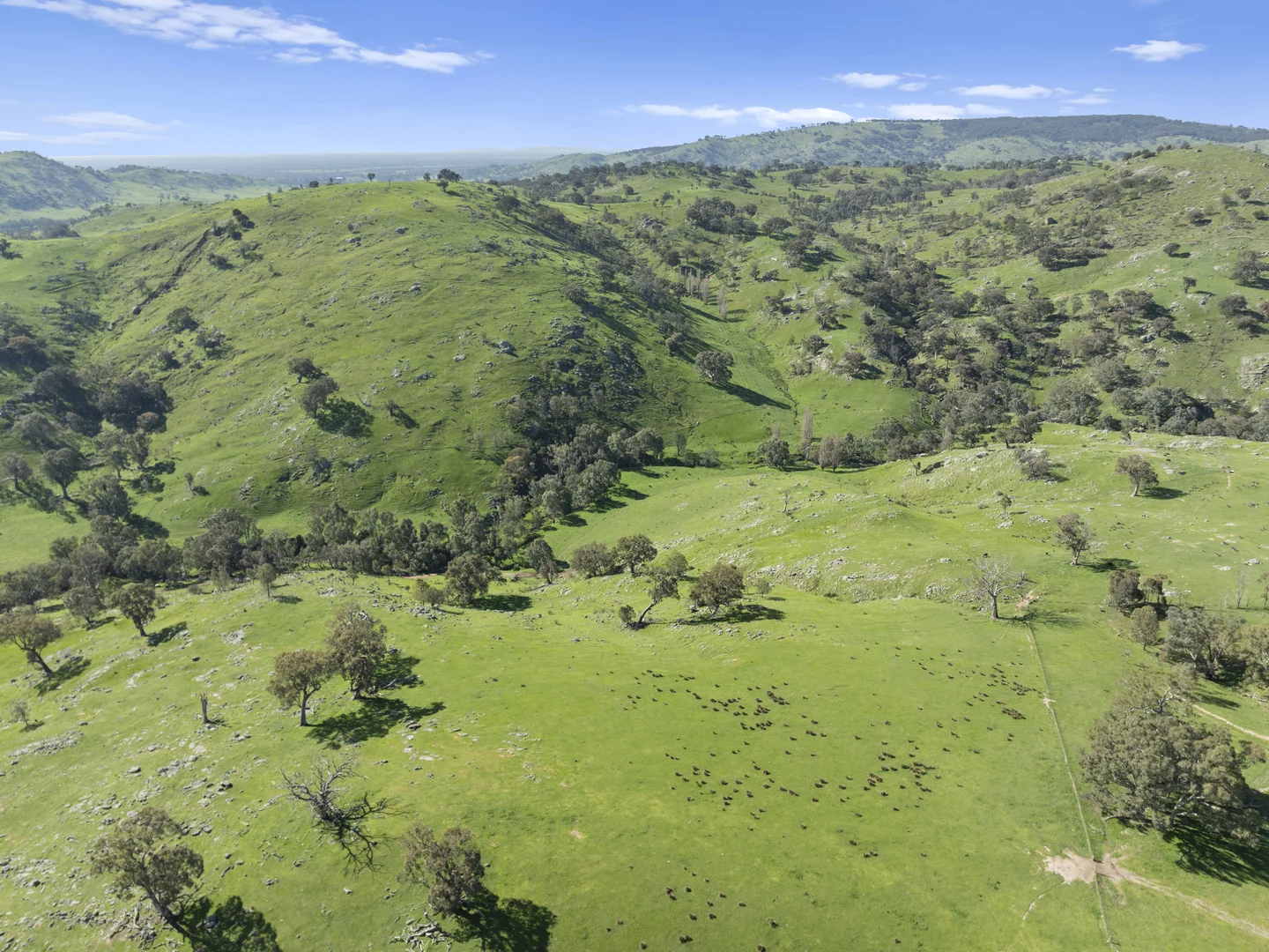Additional image 4 of Sugarloaf Road, Sheans Creek VIC 3666