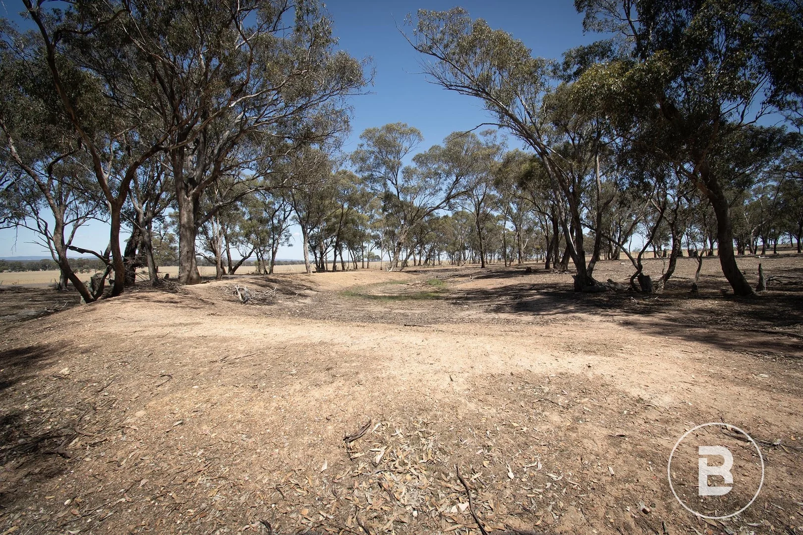 Additional image 5 of 52 Tunstalls Road, Bealiba VIC 3475