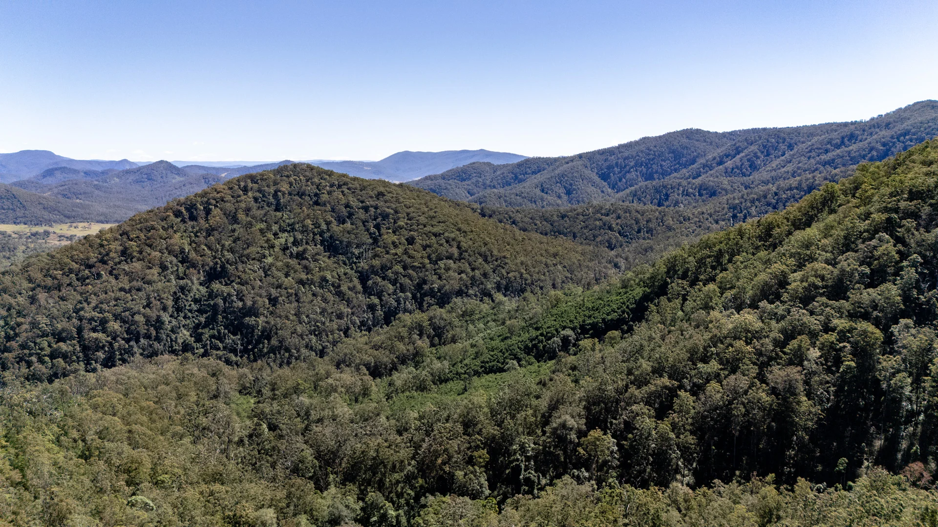 Additional image 5 of 3542 Nowendoc Road, Caffreys Flat NSW 2424