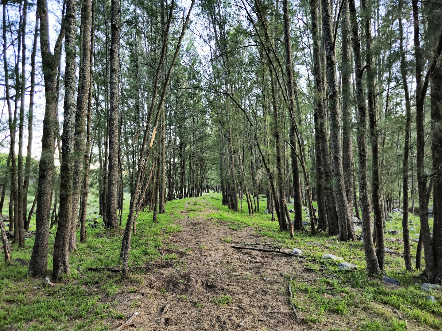 Additional image 5 of 58 Clarke Simpson Rd, Little Hartley NSW 2790