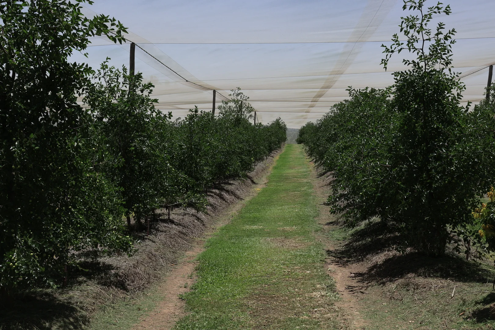 Additional image 4 of 42 Noakes Road, Traveston QLD 4570