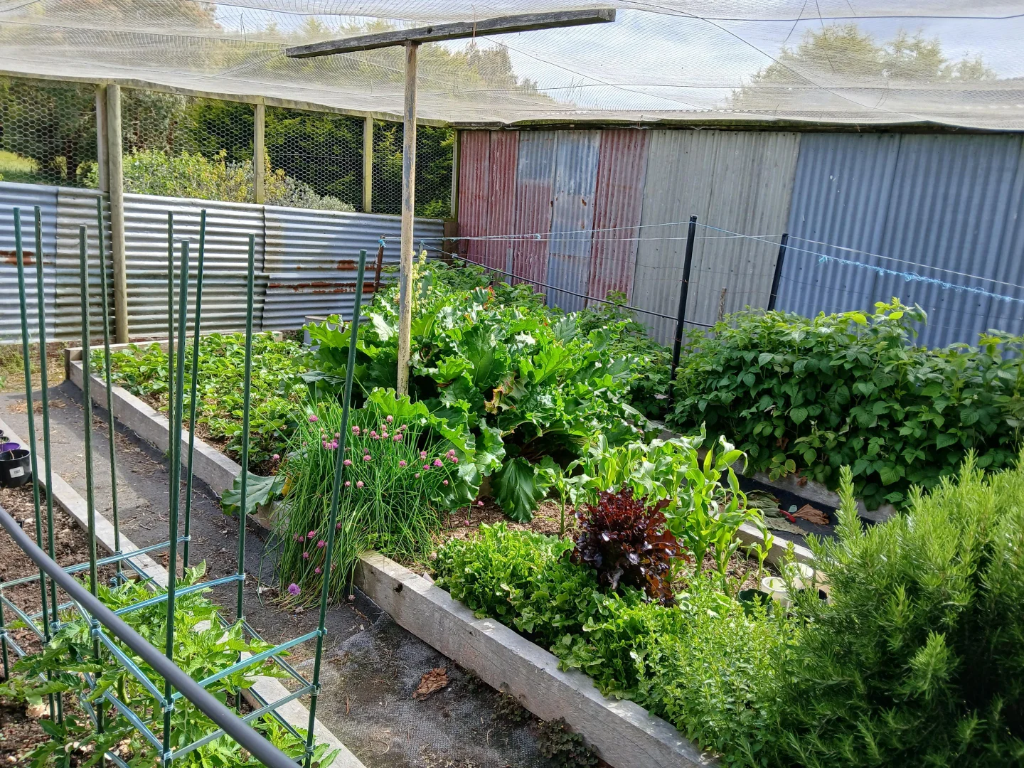 Additional image 31 of 74 Fosters Road, Wynyard TAS 7325