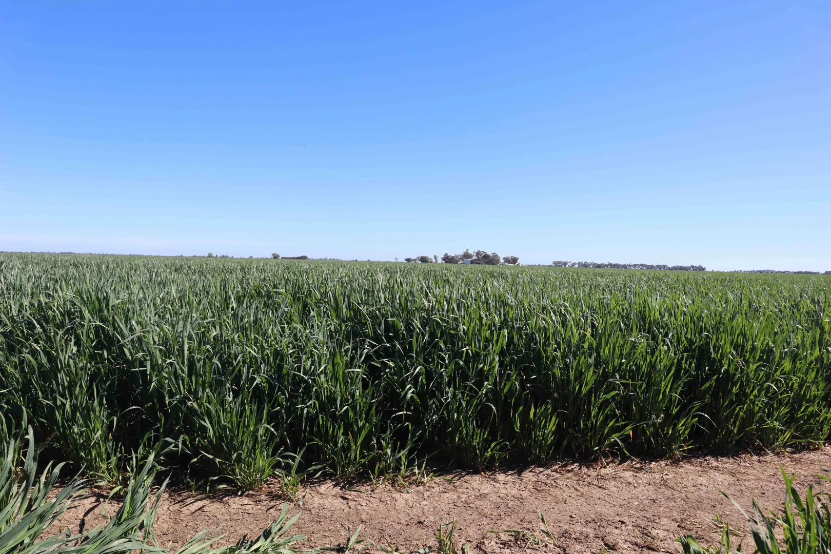 Additional image 17 of 427 Phillips Road, Myall VIC 3579