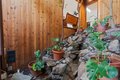 Additional image 32 of 13635 Pine Needles Dr, Del Mar, CA, 92014
