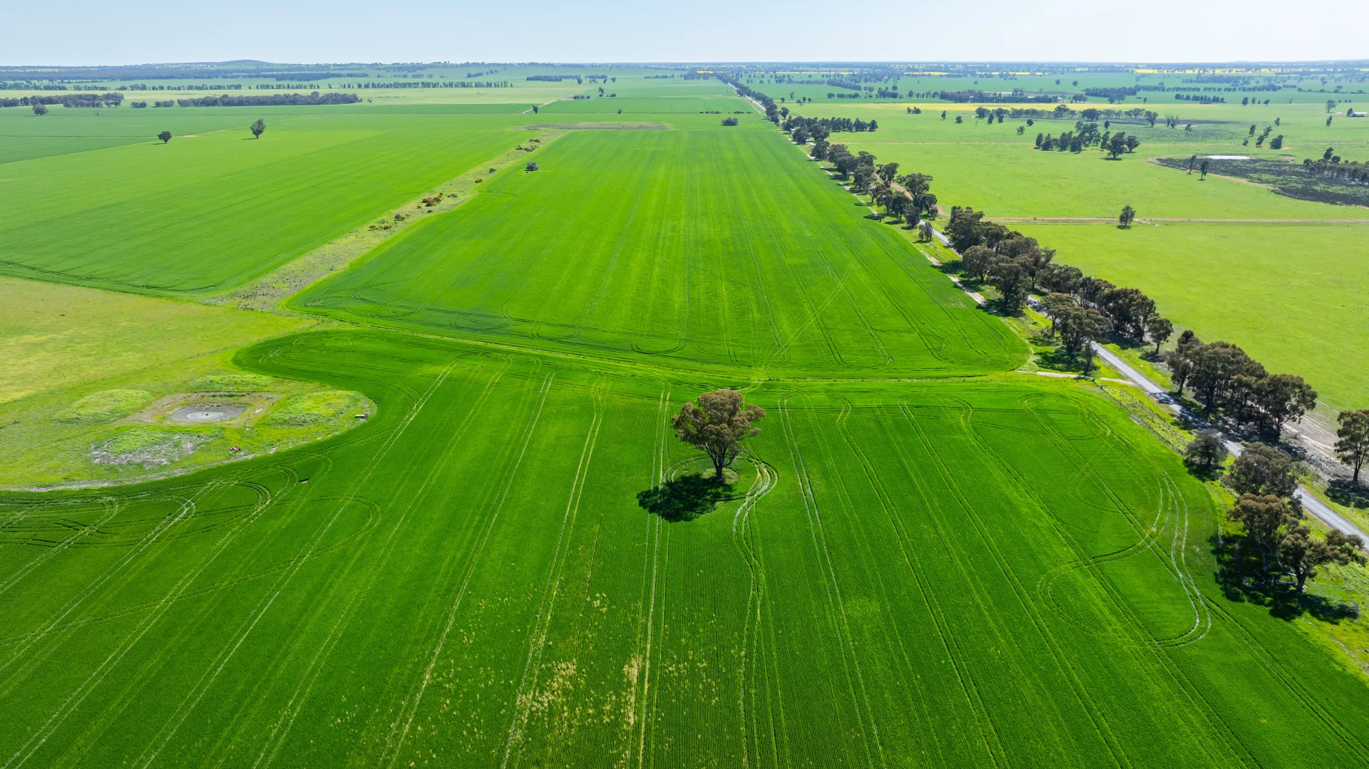 Additional image 5 of 153 Balldale-Coreen Road, Corowa NSW 2646